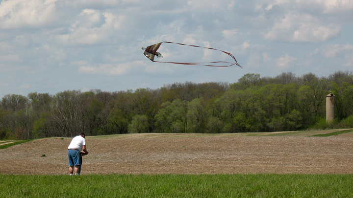 This is a picture of people flying a kite at Silverwood Park.