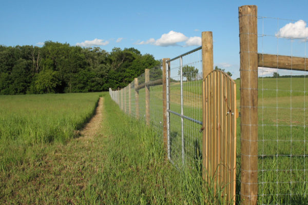 This is a picture of fencing around Silverwood's heirloom apple orchard.