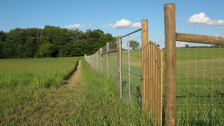 This is a picture of fencing around Silverwood's heirloom apple orchard.