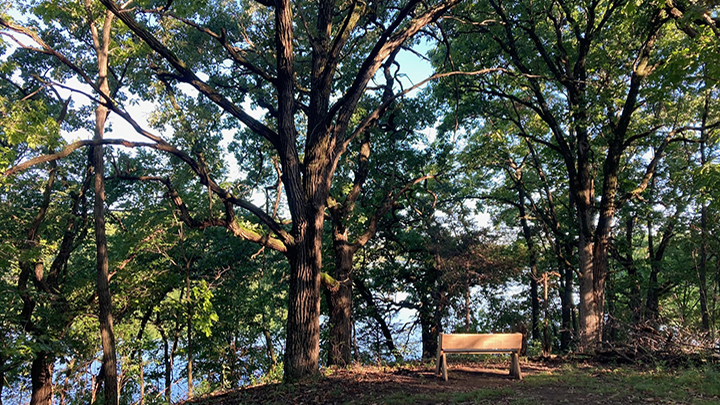 Scenic overlook with bench