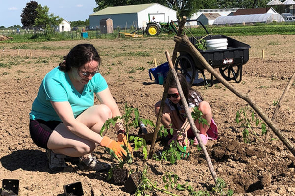 Education Summer school family growers