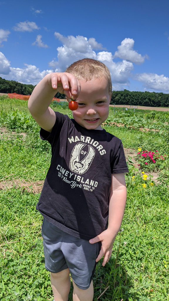 Education summer school boy grows cherry tomato