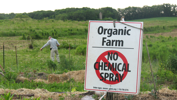 This is a picture of an organic growing field at Silverwood Park