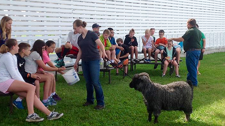 This is a picture of a Summer School class activity at Silverwood Park.