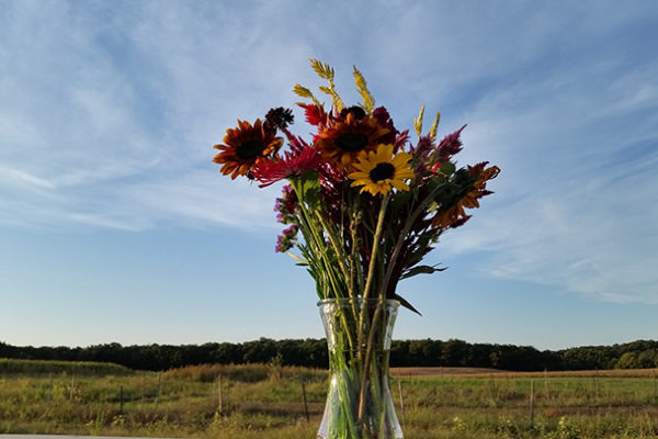 YDF flower bouquet-farm background