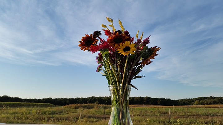 YDF flower bouquet-farm background