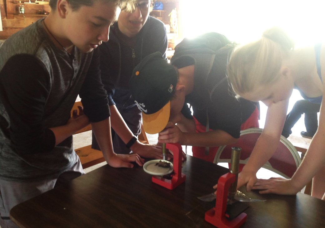This is a picture of Silverwood Summer School students using microscopes.