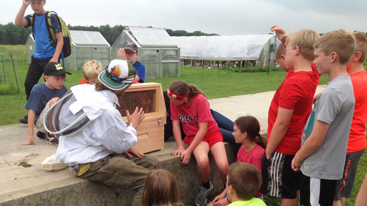 THis is a picture of Silverwood Summer School students with a beekeeper.